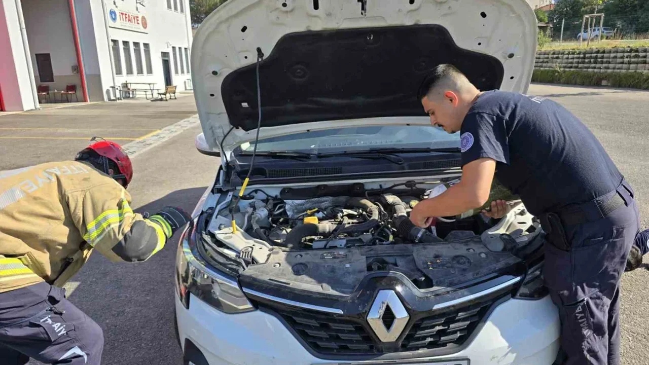 Otomobilin motoruna giren yavru kedi Bursa'da kurtarıldı