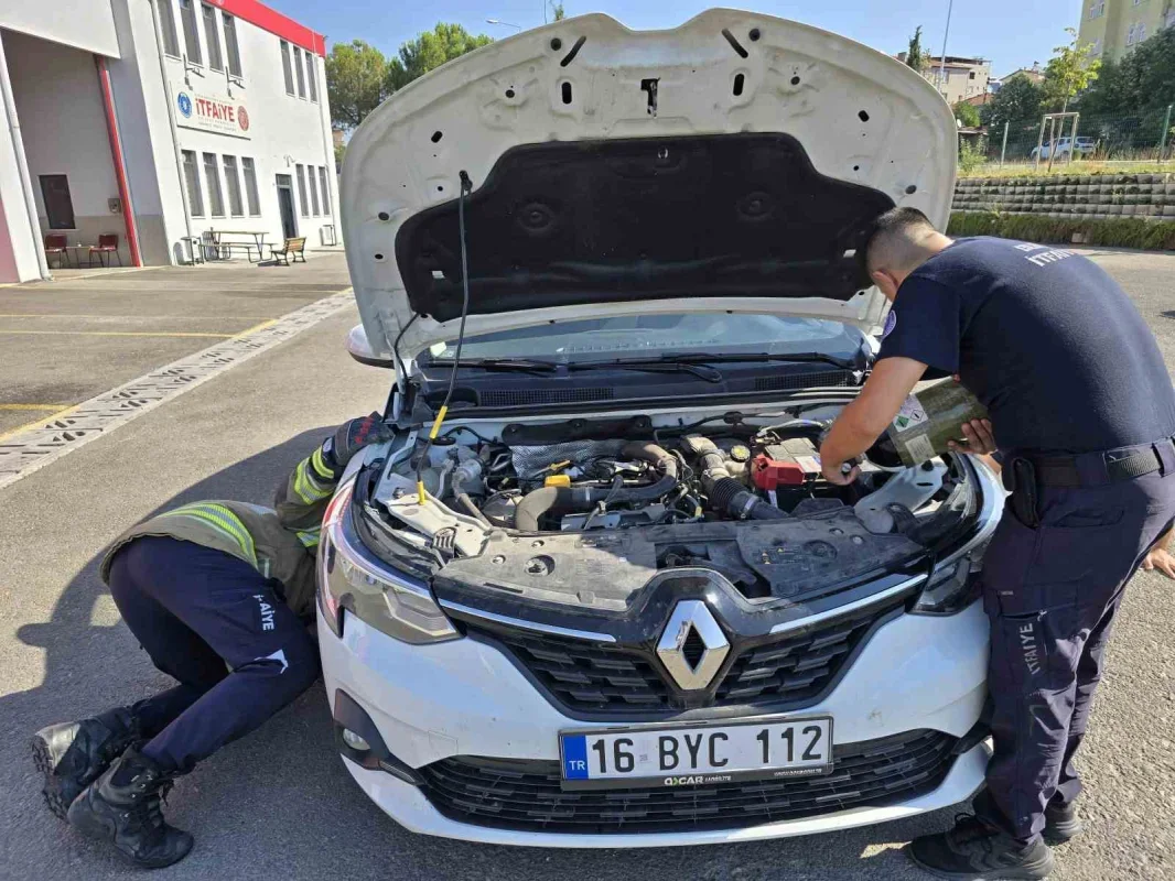 Otomobilin motoruna giren yavru kedi Bursa'da kurtarıldı