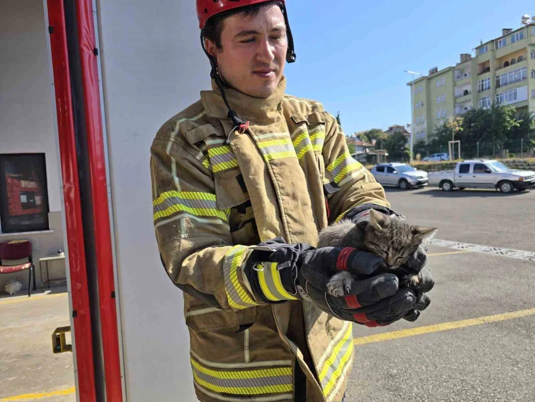 Otomobilin motoruna giren yavru kedi Bursa'da kurtarıldı
