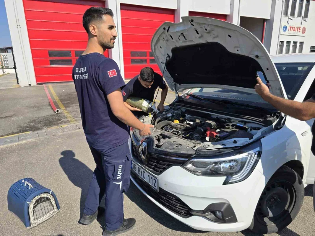 Otomobilin motoruna giren yavru kedi Bursa'da kurtarıldı