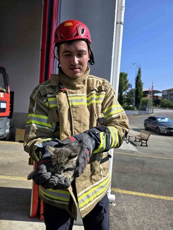 Otomobilin motoruna giren yavru kedi Bursa'da kurtarıldı