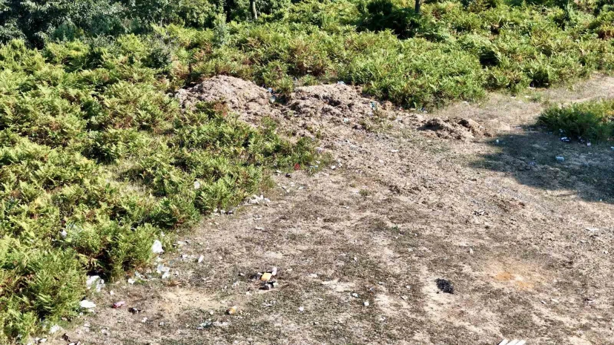 Kızıltepe ormanlık alanı çöplüğe döndü, yangın riski büyüyor
