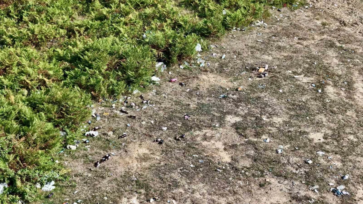 Kızıltepe ormanlık alanı çöplüğe döndü, yangın riski büyüyor