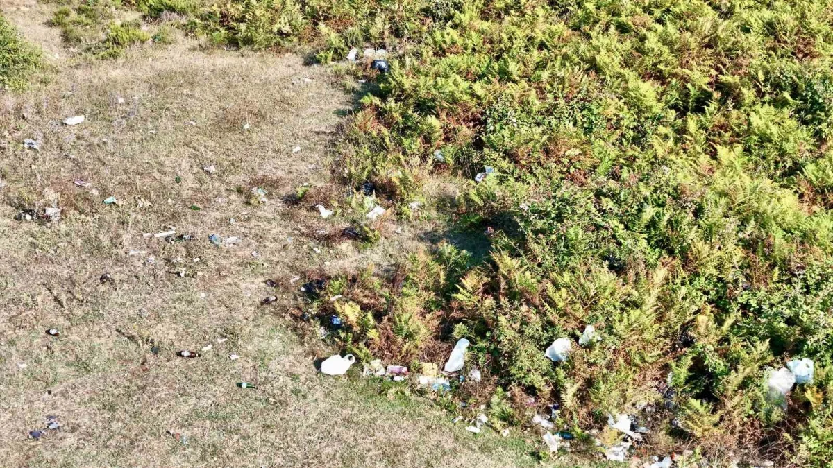 Kızıltepe ormanlık alanı çöplüğe döndü, yangın riski büyüyor
