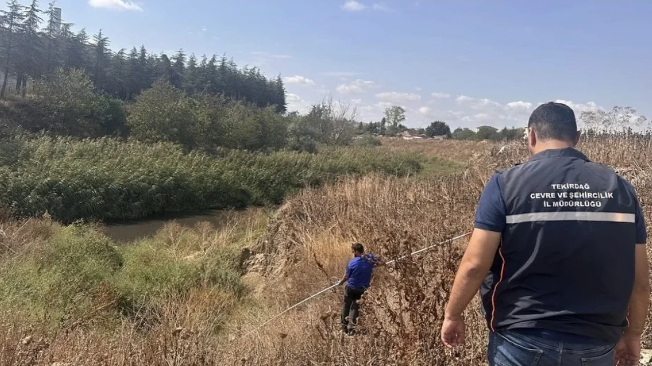Tekirdağ'da çevre denetimlerinde 22 işletmeye 14 milyon ceza