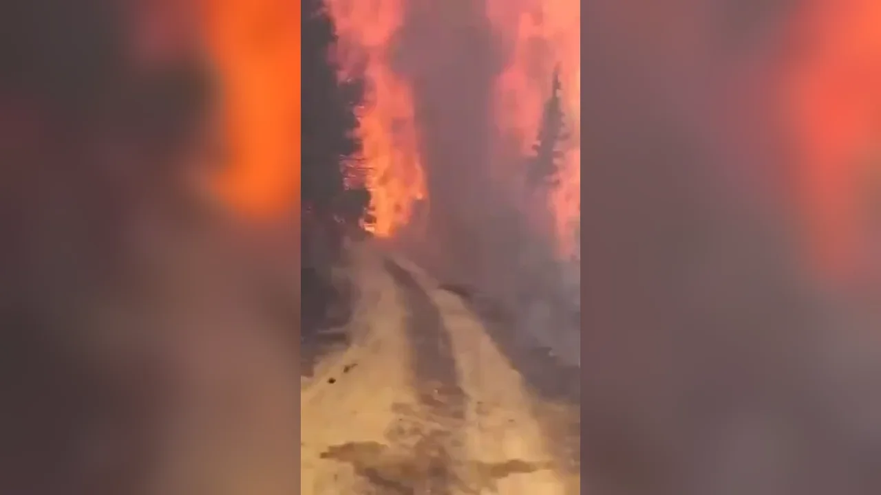 Gemlik orman yangını 5 saat sonra kontrol altına alındı
