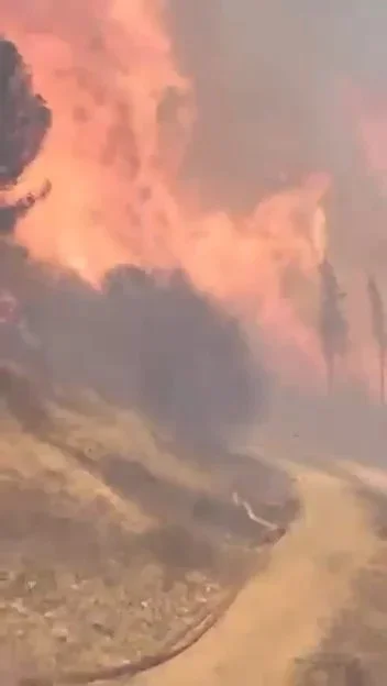 Gemlik orman yangını 5 saat sonra kontrol altına alındı