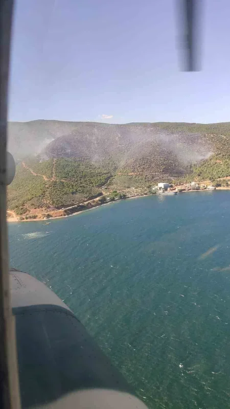 Gemlik orman yangını 5 saat sonra kontrol altına alındı