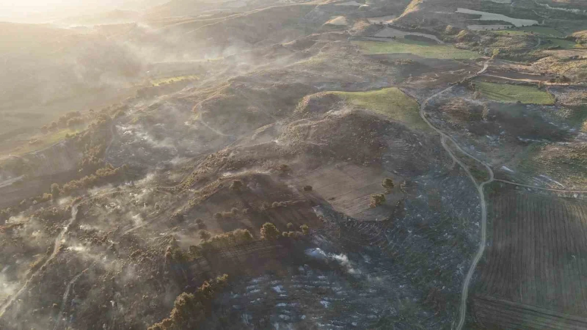 Çanakkale'de yanan alanlar dronla görüntülendi, ateş yasağı geldi