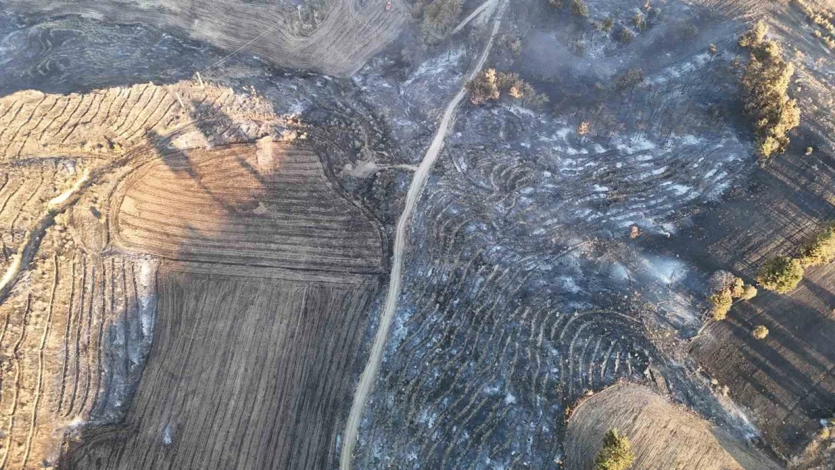 Çanakkale'de yanan alanlar dronla görüntülendi, ateş yasağı geldi