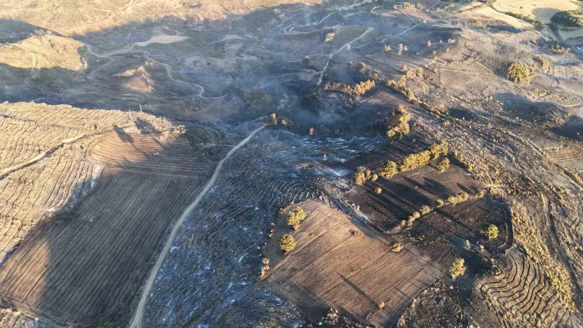 Çanakkale'de yanan alanlar dronla görüntülendi, ateş yasağı geldi