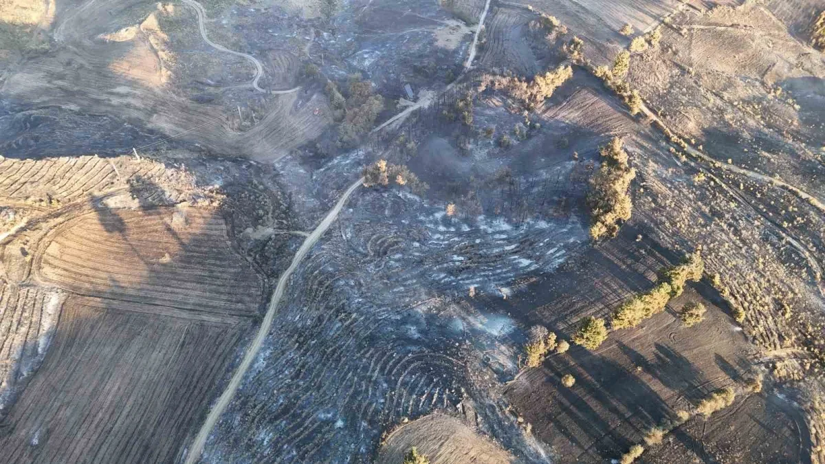 Çanakkale'de yanan alanlar dronla görüntülendi, ateş yasağı geldi