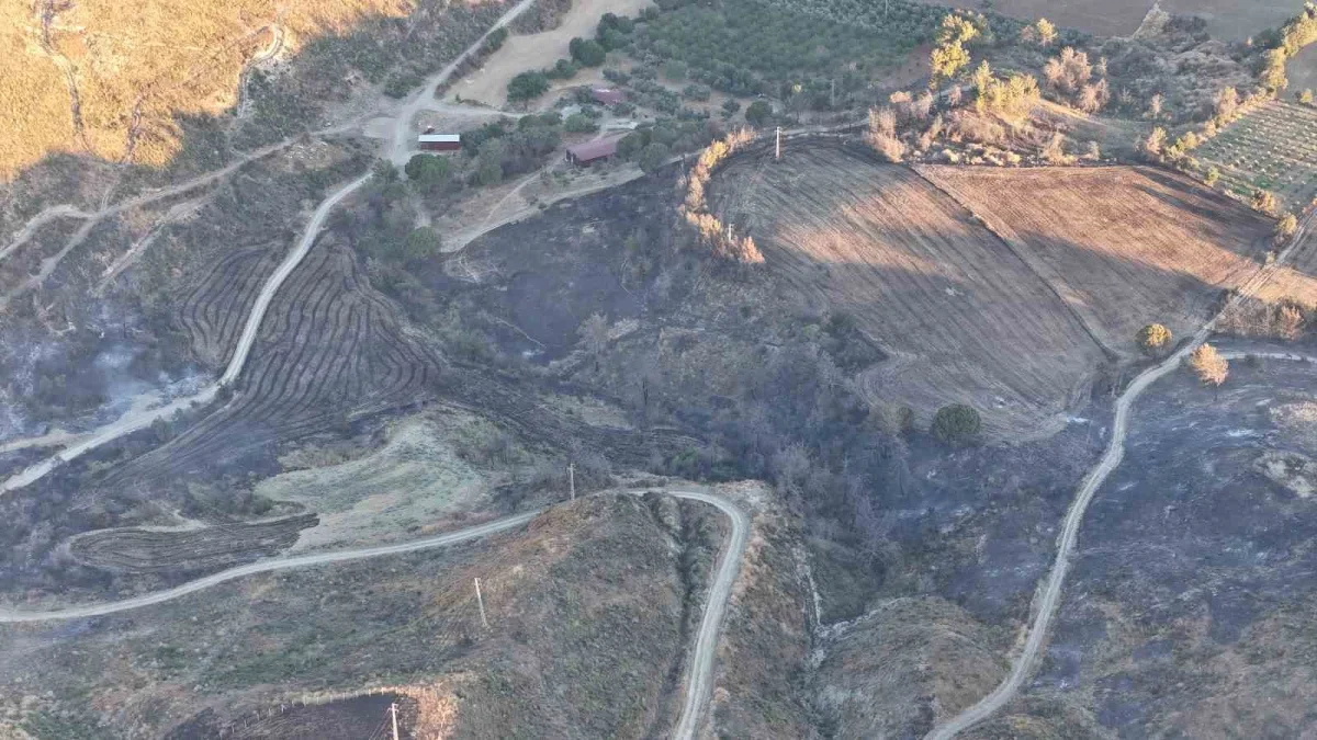 Çanakkale'de yanan alanlar dronla görüntülendi, ateş yasağı geldi