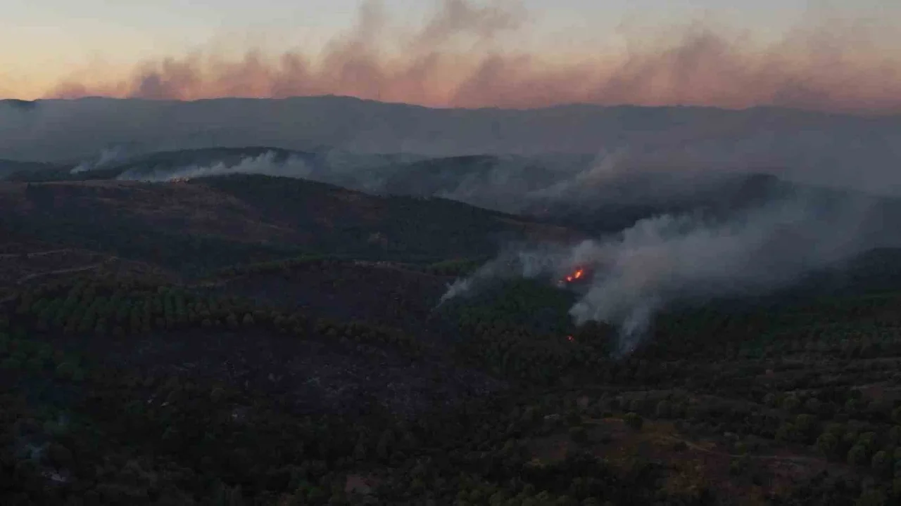 Tıfıllar Köyü yangınında ağır bilanço gün ağarınca ortaya çıktı