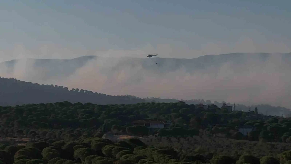 Balıkesir Ayvalık'ta yangın Tıfıllar Köyü mezarlığını kül etti