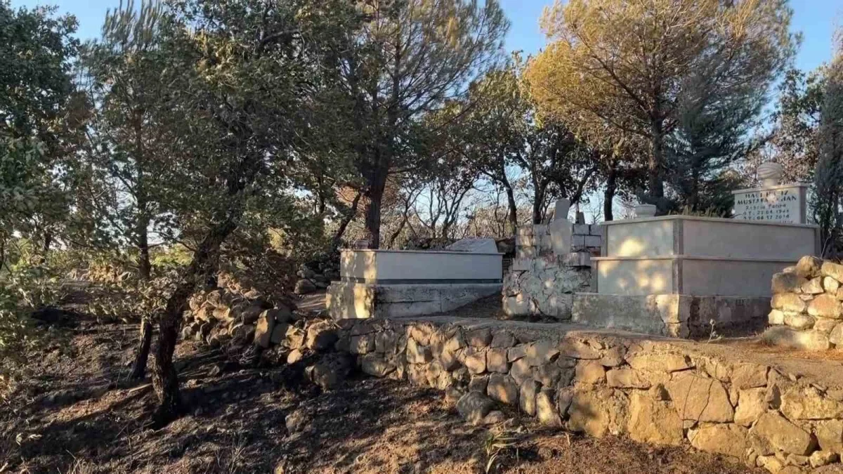 Balıkesir Ayvalık'ta yangın Tıfıllar Köyü mezarlığını kül etti