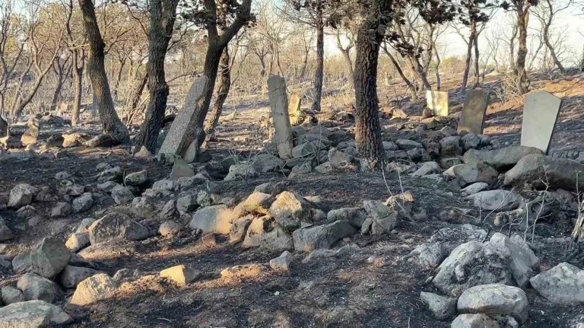 Balıkesir Ayvalık'ta yangın Tıfıllar Köyü mezarlığını kül etti