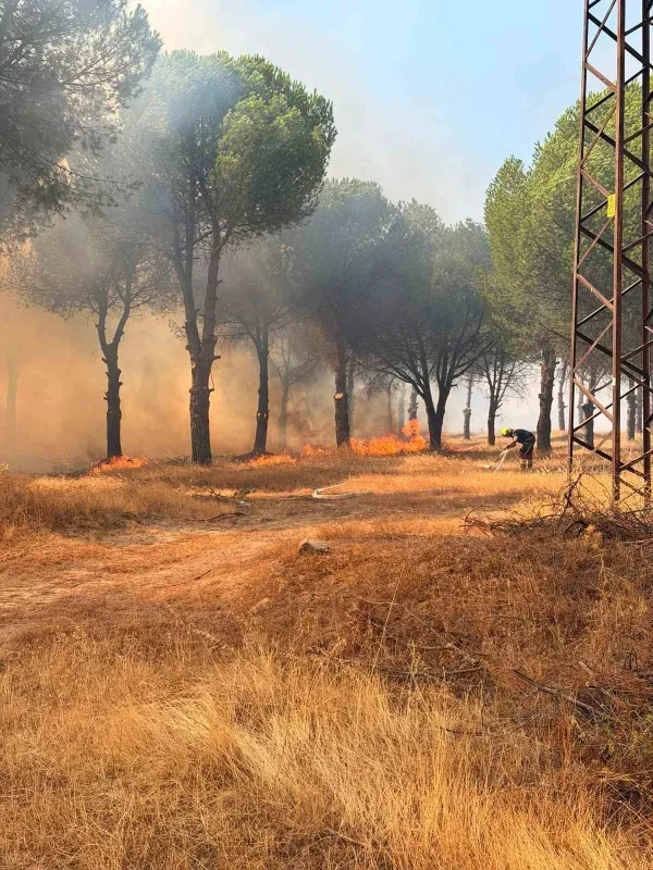 Altınova girişindeki ot ve orman yangını kontrol altına alındı