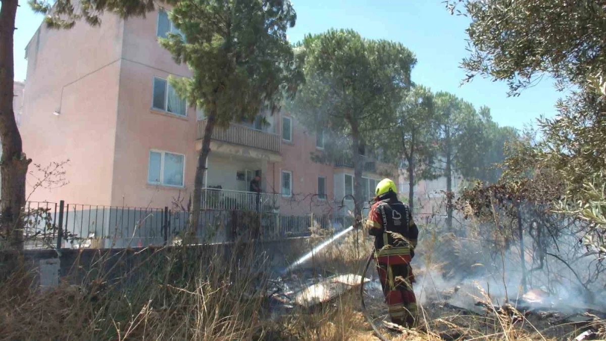 Burhaniye'de ot yangını zeytinliğe sıçradı, karakol boşaltıldı