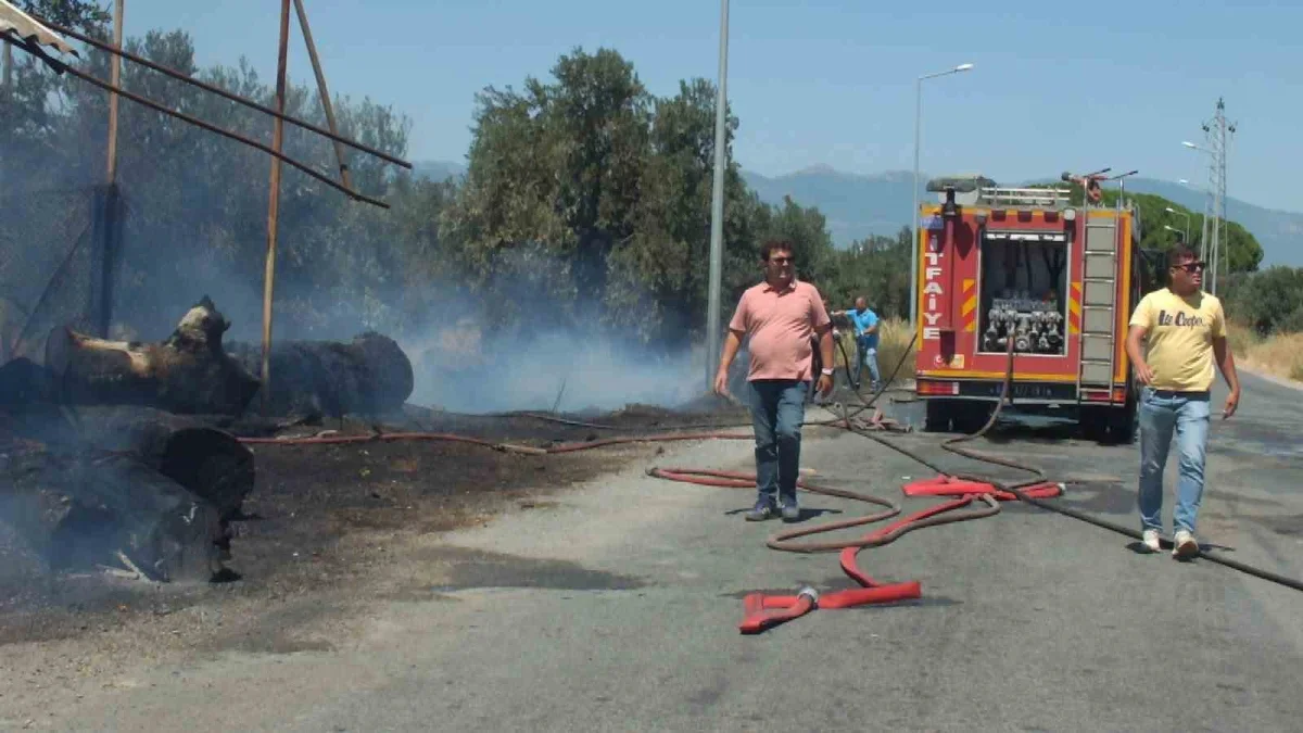 Burhaniye'de ot yangını zeytinliğe sıçradı, karakol boşaltıldı