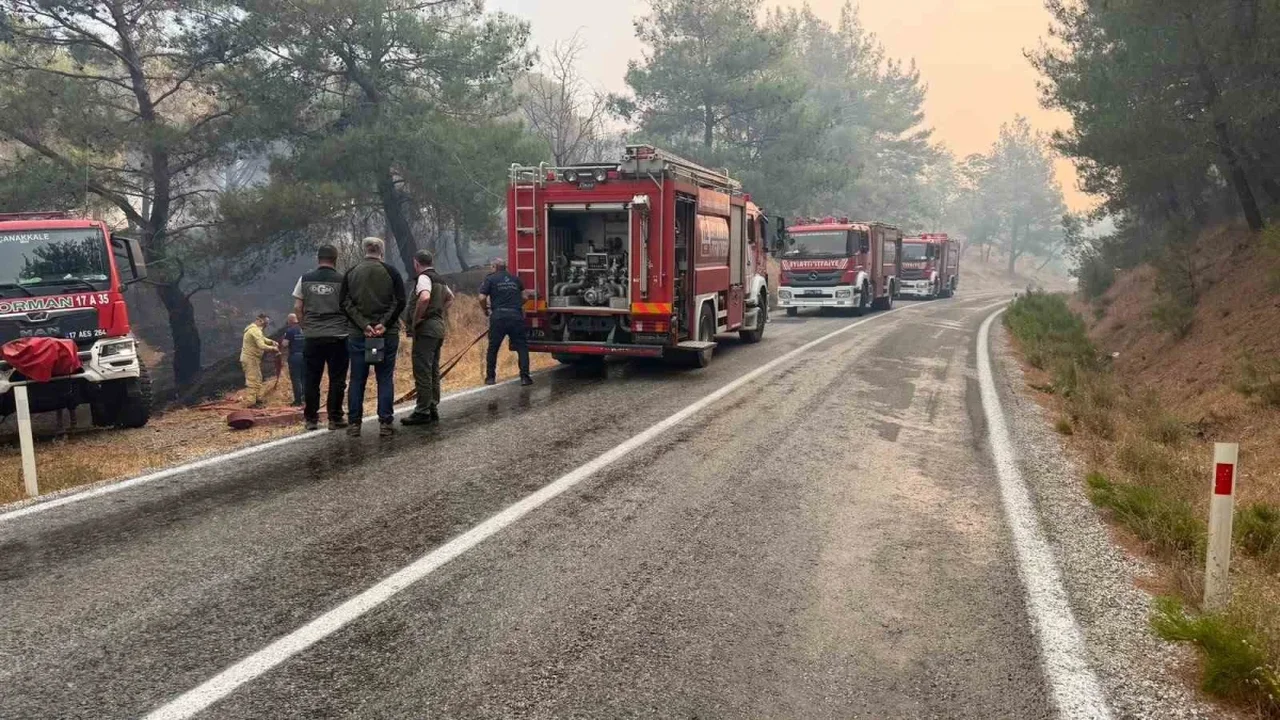 Balıkesir'de orman yangını: Ayvalık-Bergama yolu kapatıldı