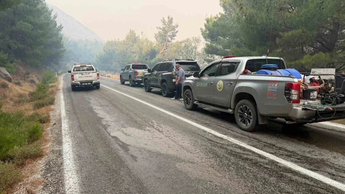 Balıkesir'de orman yangını: Ayvalık-Bergama yolu kapatıldı