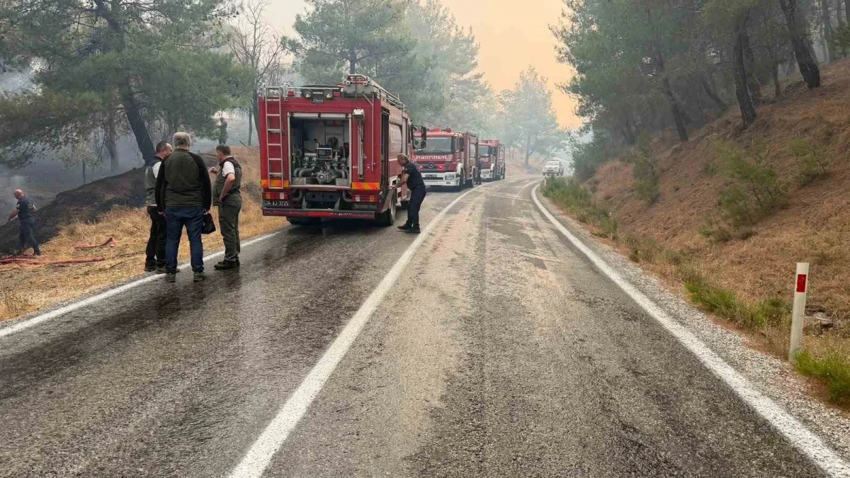 Balıkesir'de orman yangını: Ayvalık-Bergama yolu kapatıldı