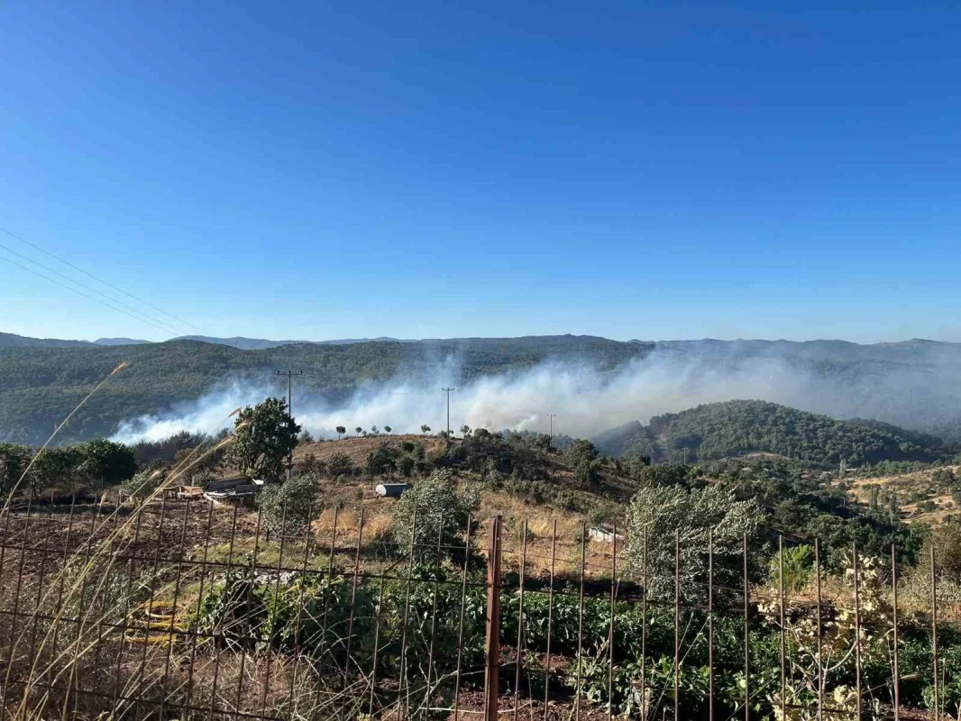 Balıkesir'de orman yangını: Ayvalık-Bergama yolu kapatıldı
