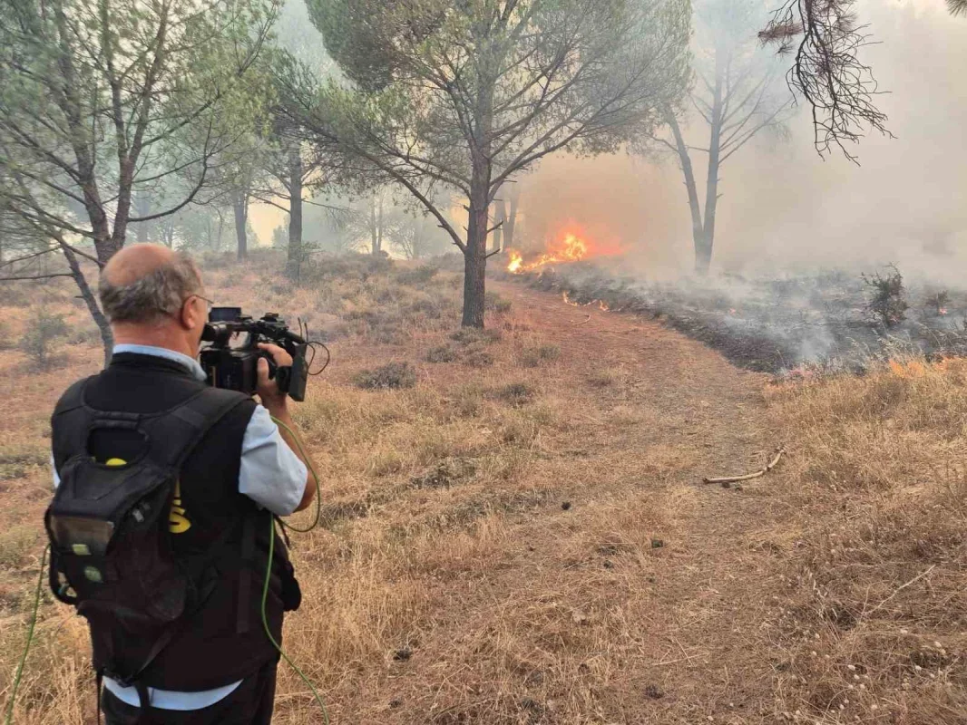Balıkesir'de orman yangını: Ayvalık-Bergama yolu kapatıldı