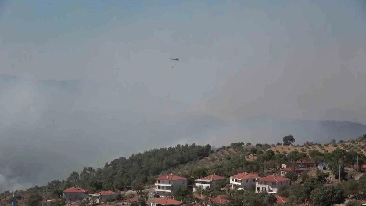 Gömeç ve Ayvalık'taki orman yangınlarına havadan müdahale sürüyor
