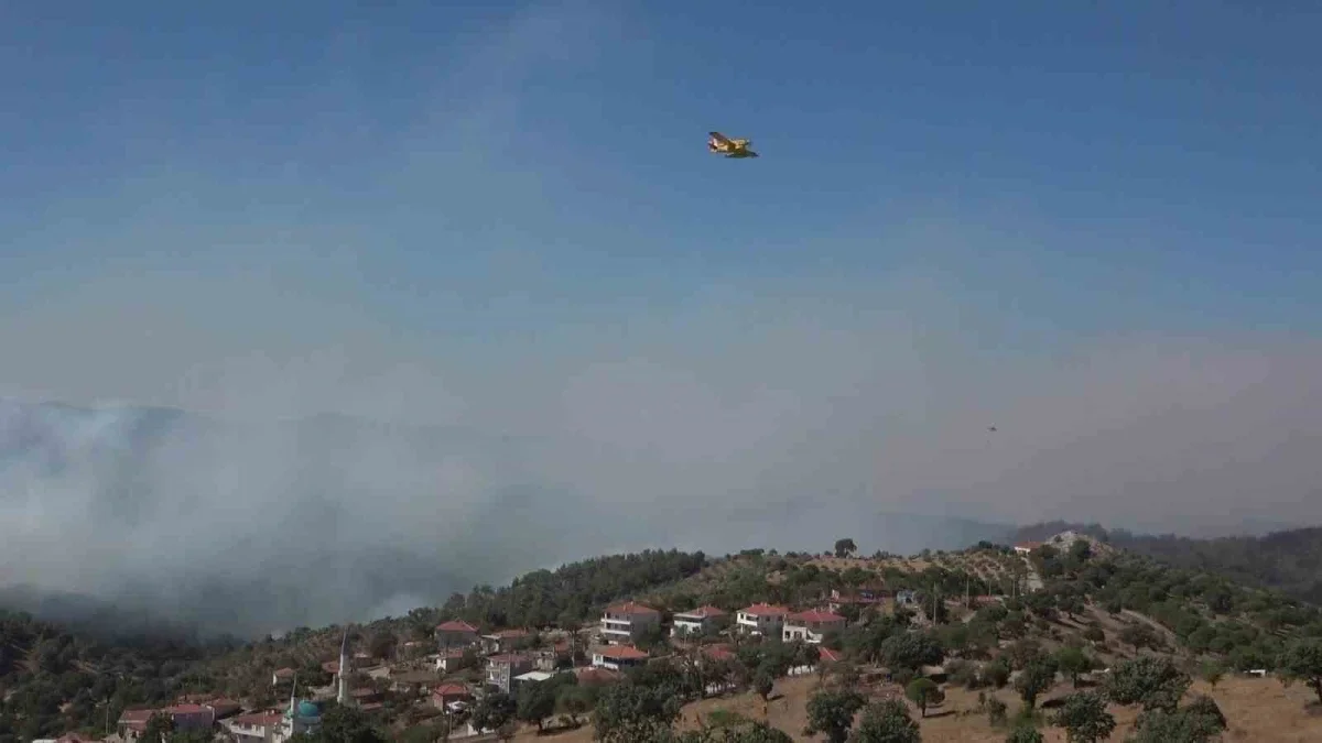 Gömeç ve Ayvalık'taki orman yangınlarına havadan müdahale sürüyor