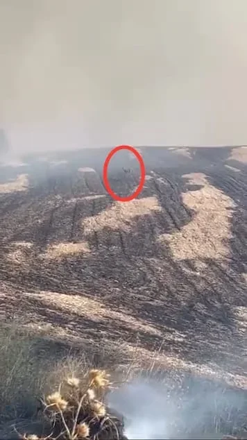 Çanakkale yangınında kaçan geyik cep telefonu kamerasına yansıdı