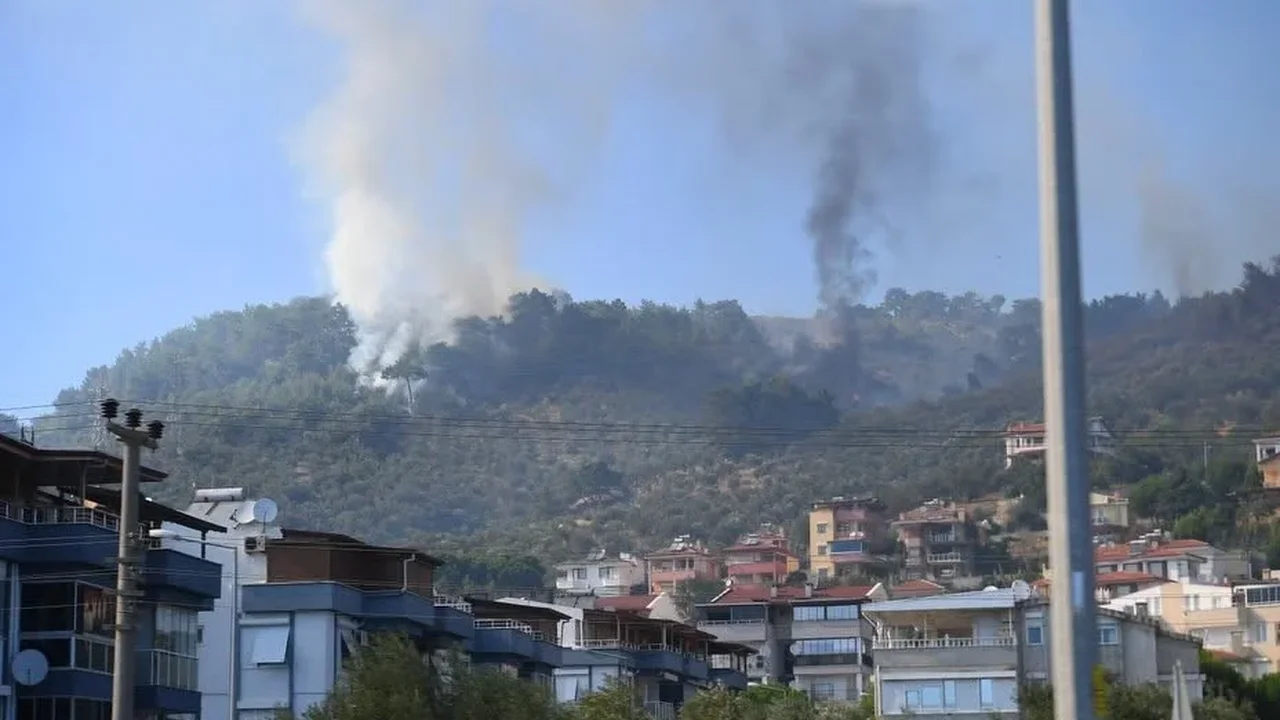 Altınoluk yangını kontrol altına alındı, Gömeç'te müdahale sürüyor