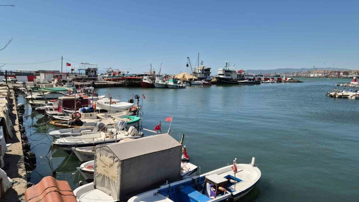 Tekirdağ'da balıkçılar yeni sezon için palamut bereketi bekliyor