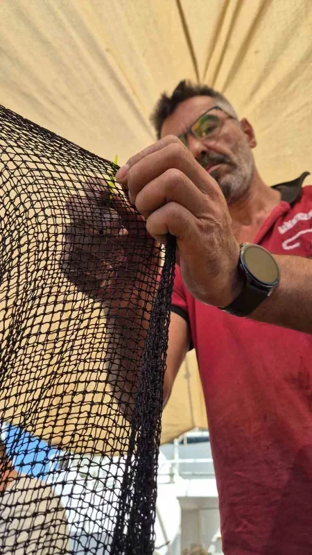 Tekirdağ'da balıkçılar yeni sezon için palamut bereketi bekliyor