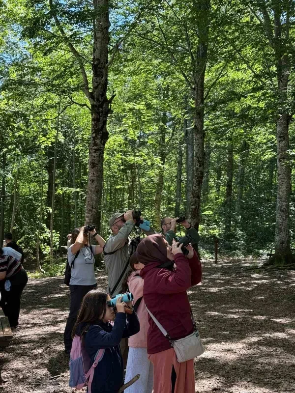 Kocaeli'de kara akbaba görüntülendi: Kanat açıklığı 3 metre