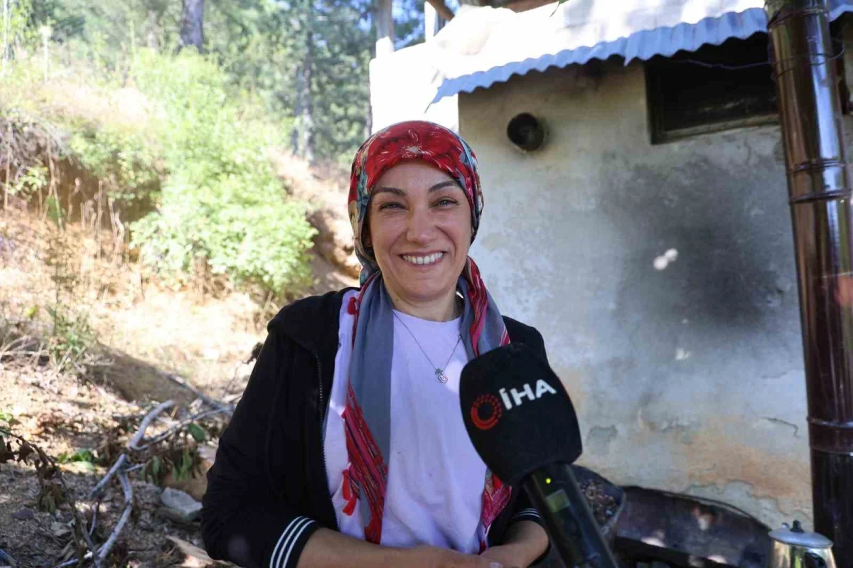 Saimbeyli kirazı kurutuluyor: Satılamayan ürün çereze dönüşüyor