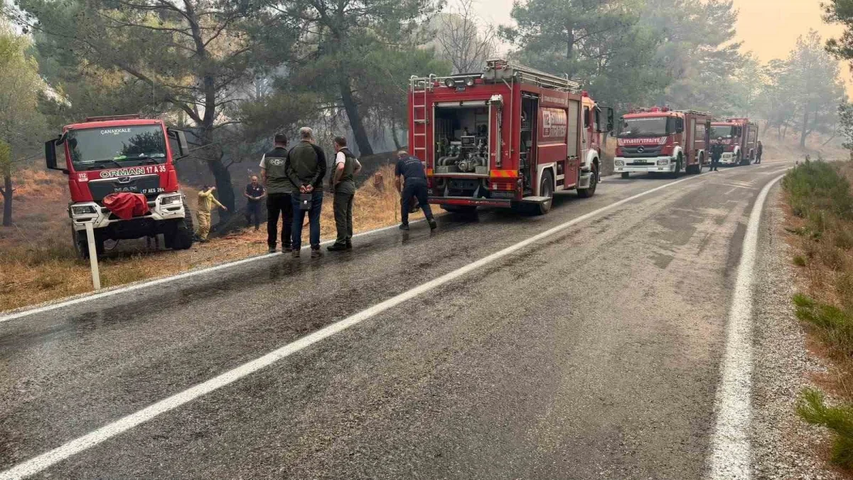 Balıkesir Gömeç yangınında son durum: Tek cephede mücadele
