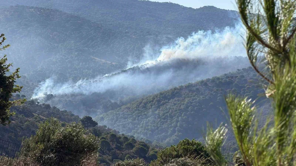 Gömeç ve Ayvalık'taki orman yangını kontrol altına alındı