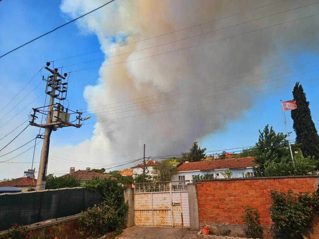Susurluk'taki orman yangınına havadan ve karadan müdahale
