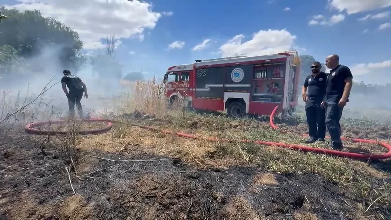 Tekirdağ'da anız yangını 100 dekarlık alanı küle çevirdi