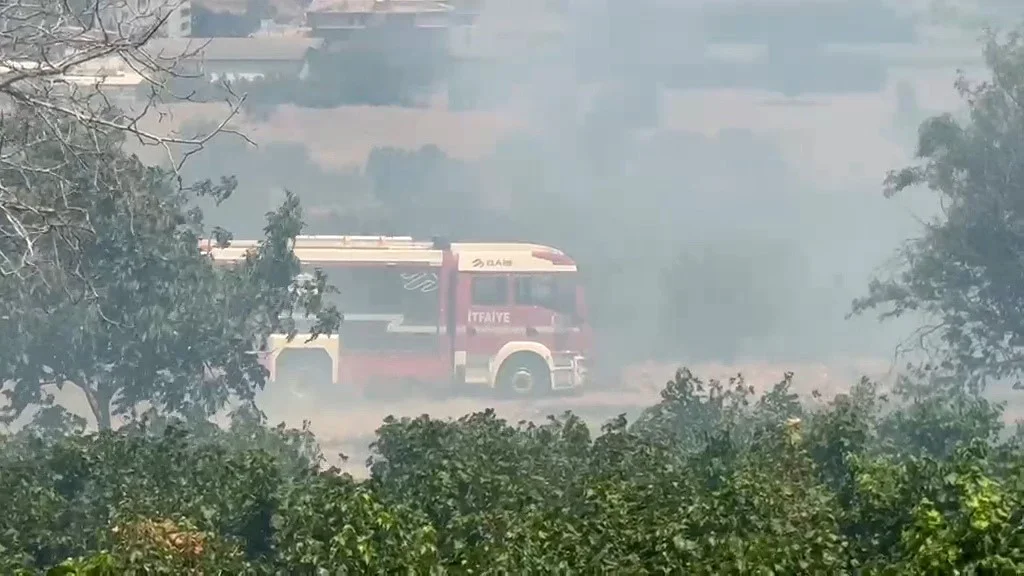 Tekirdağ'da anız yangını 100 dekarlık alanı küle çevirdi