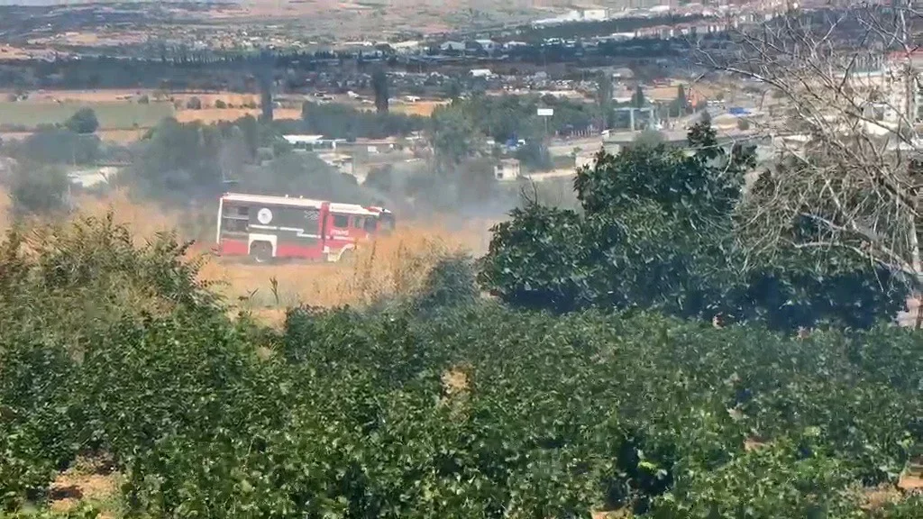 Tekirdağ'da anız yangını 100 dekarlık alanı küle çevirdi