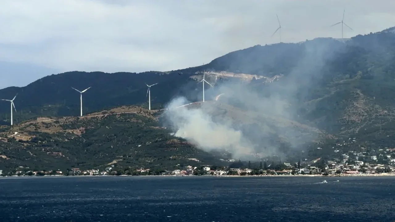 Marmara'da orman yangınına neden olan şüpheli gözaltında