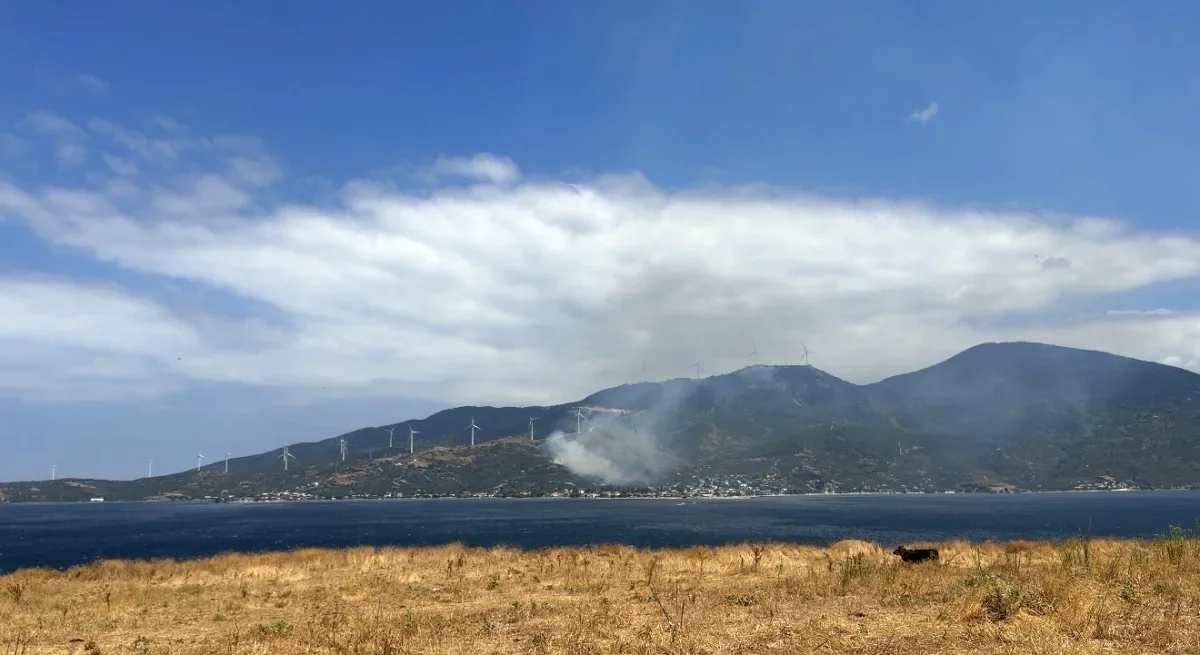 Marmara'da orman yangınına neden olan şüpheli gözaltında