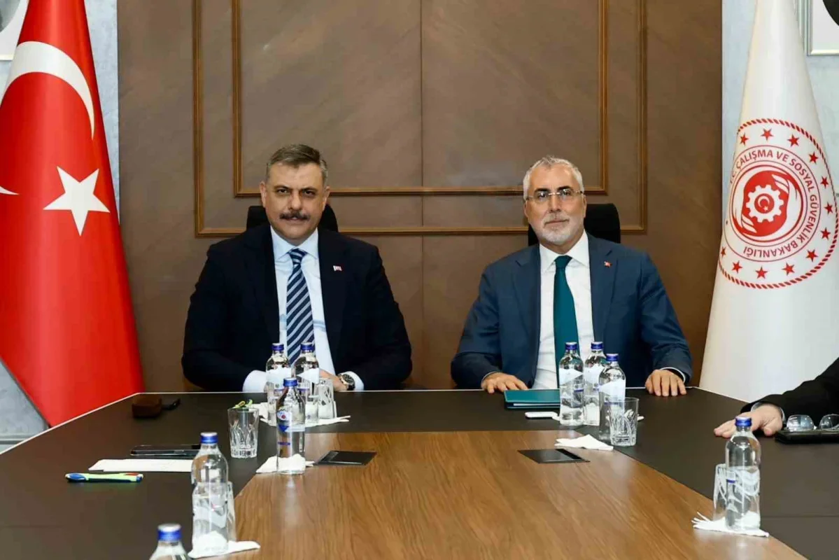 Toplum Yararına Programları için 81 ile 30 bin kontenjan