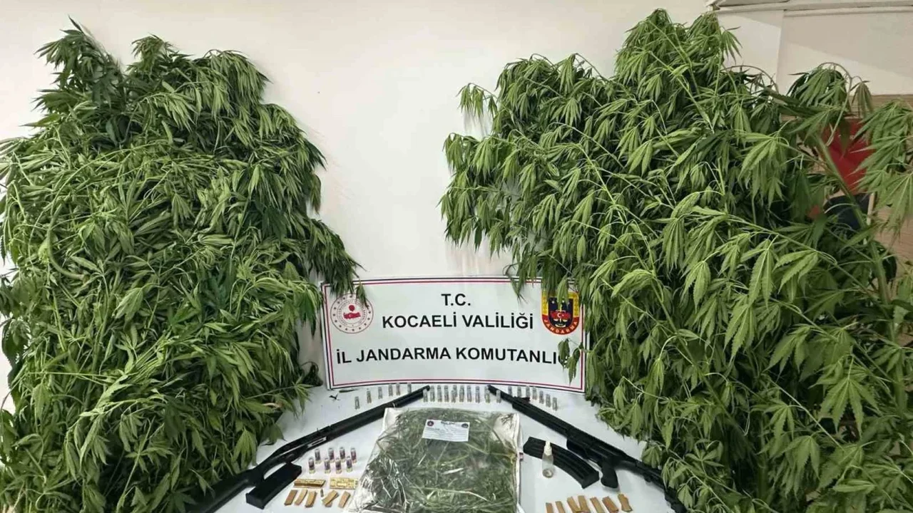 Kocaeli'de bir haftada 151 uyuşturucu operasyonu yapıldı