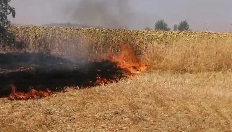 Lüleburgaz'da anız yangını yerleşim alanlarına sıçradı