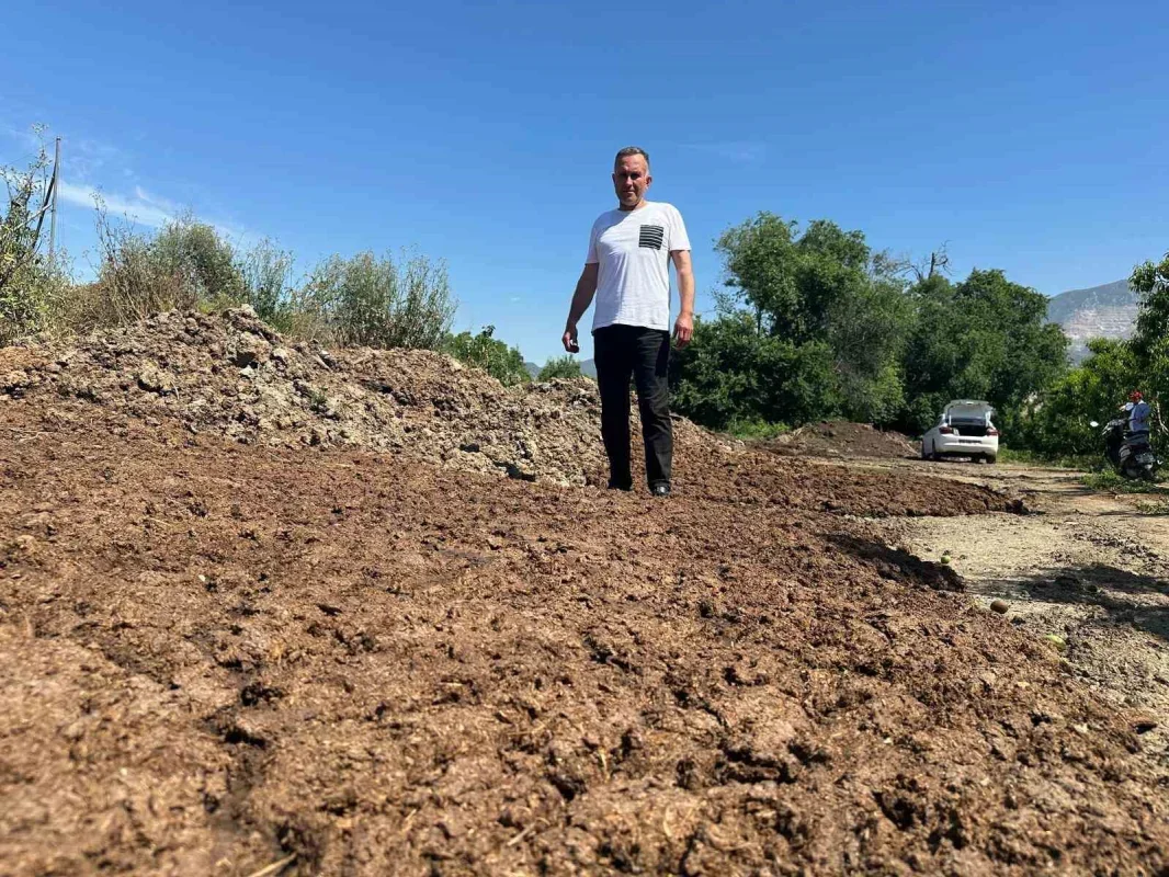 Gürsu'da hayvansal gübreyle üretim yapıyor, maliyeti sıfırlıyor