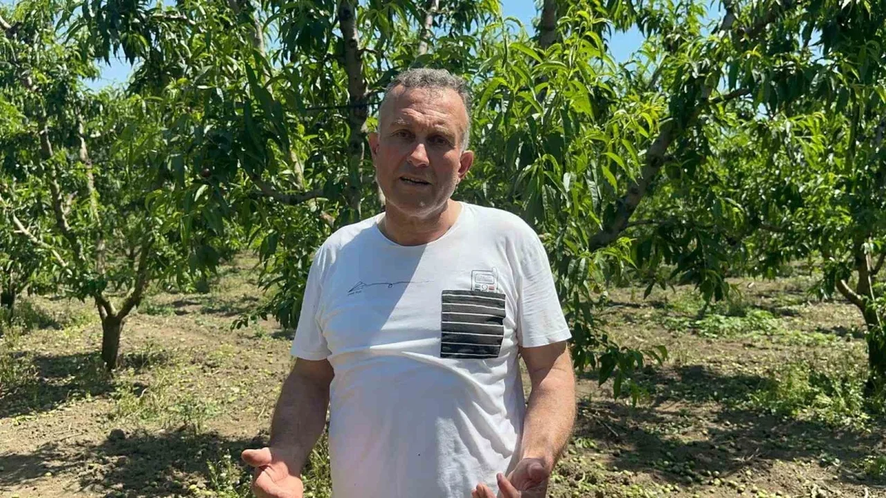 Gürsu'da hayvansal gübreyle üretim yapıyor, maliyeti sıfırlıyor